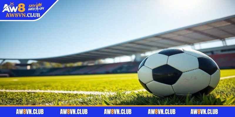 Kèo handicap AW8 và kinh nghiệm chơi cược dễ thắng nhất 2 Thông tin về kèo chấp 0.25